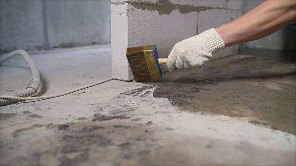 SJ Waterproofing Pros Waterproofing coverage map for Grissom Arb, IN and surrounding area
